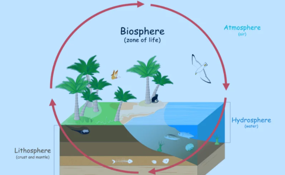 earth biosphere
