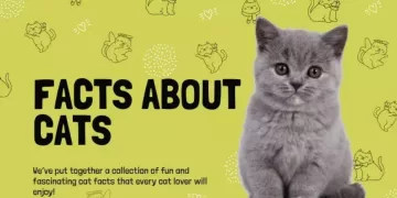 facts about cats