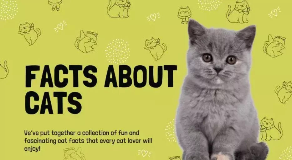 facts about cats